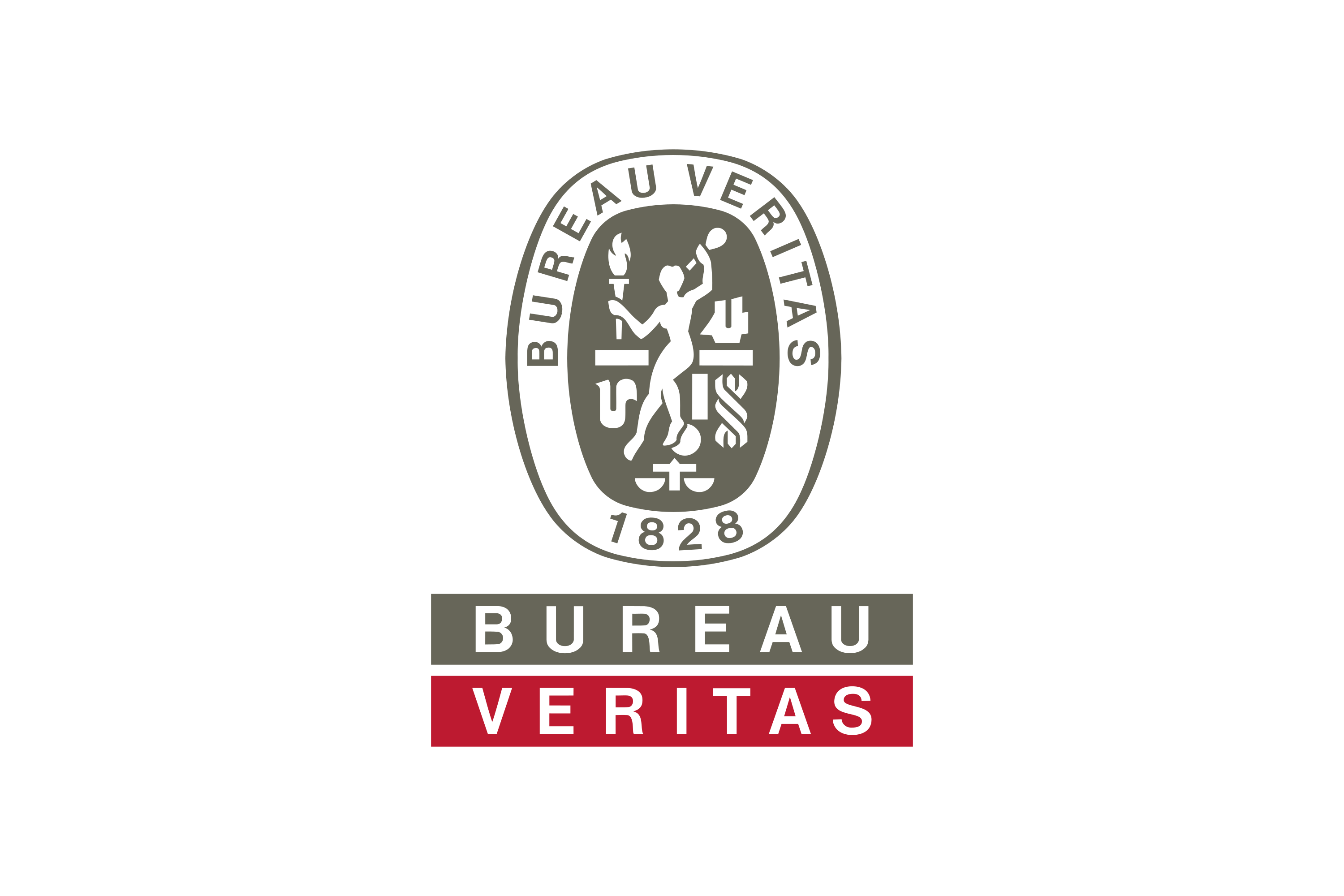 Bureau Veritas Logo